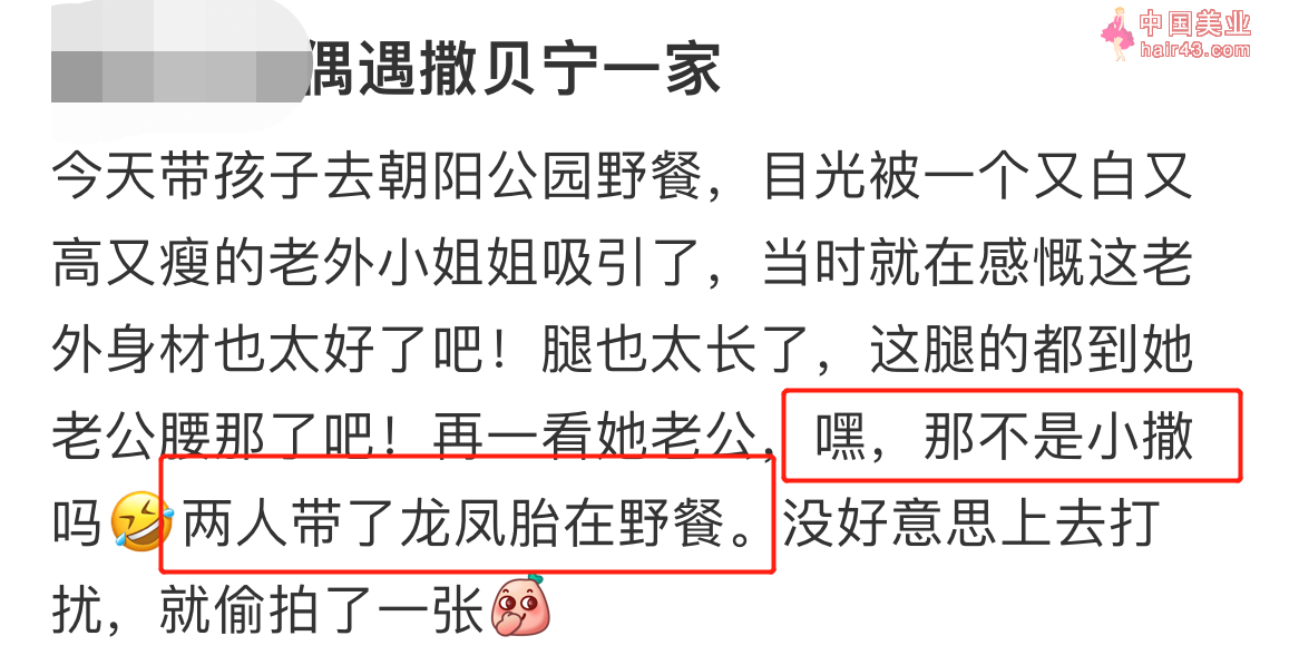 撒贝宁一家野餐被偶遇！撑坐在地上姿势搞笑，老婆长相经致皮肤白