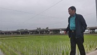 水稻育种专家郑家奎：在安全的基础上给水稻增加绿SE高效的翅膀