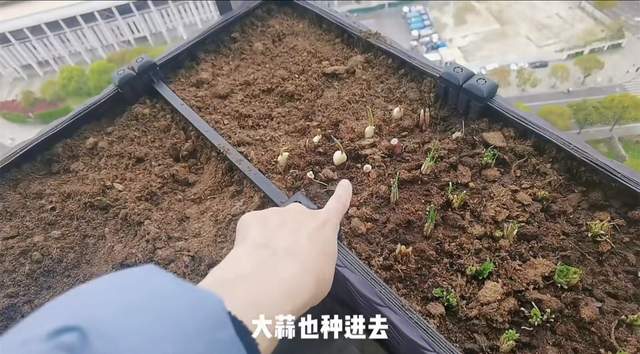 郑恺苗苗上海豪宅价值曝光！每平超15万元，可完美窥视江景