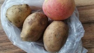 保存土豆一个月不变质，用上这几种方法，轻松保存土豆一年不变质