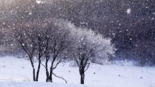 黑暗中大雪纷飞的人