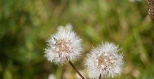 未来10天，感请随心，缘分相助，有望和真爱抒写余生的4大星座