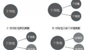 “金种子”的命运，谁来决定？