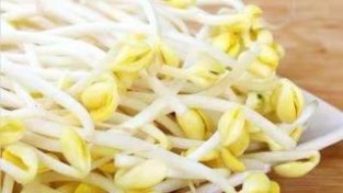 黄豆芽炒米粉、素炒韭菜、凉拌黄豆芽…新吃法…