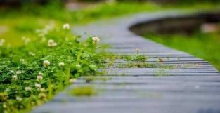 当端午节遇上六月的雨