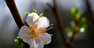 今年6、7月，三生肖有财星入命，好事陆续发生，有钱赚更有盼头