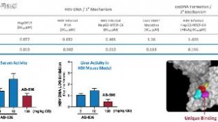 乙肝在研新要AB-836，1a/1b期已基本完成，下一代核心抑制剂