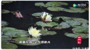 “芒种至，盛夏始”｜一年中湿热最重的时节里，应该如何养生？