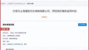 “小猎豹”郑恺成被执行人，背后的“瓜”挺复杂