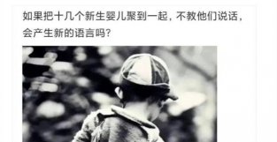 如果把十几个新生婴儿聚到一起，不教他们说话，会产生新的语言吗？