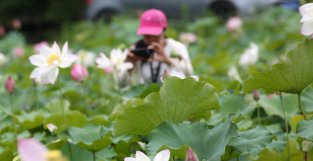 （图表·海报）【二十四节气·夏至】夏至（五）