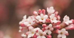 7月，雨过天晴，喜上加喜的3个生肖，霉运消散，存款剧增，福禄双全