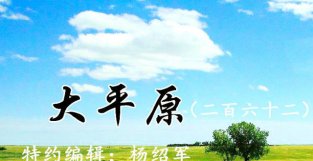 大平原（二百六十二）|马晓云威名震敌顽