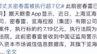 董卿会效仿刘涛，替老公密春雷偿还7亿元的债务吗