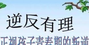 几句话道出叛逆本质，到底是家长不醒目，难怪与青春期孩子有冲突