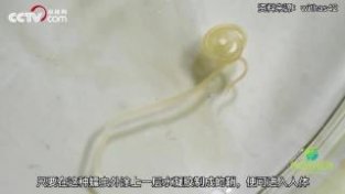 食用蠕虫或能治疗癌症？科学家利用蠕虫杀死癌细胞