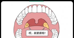 孩子每天刷牙还口臭？除了牙齿，也可能是这2个器官出问题