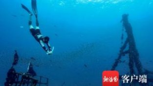 打卡海南 飞猪数据：多个“火炉城市”游客到海南避暑 冲浪潜水预订火爆