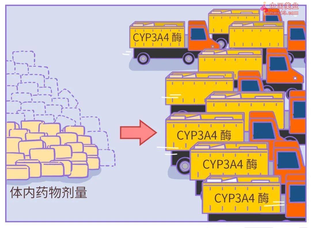 吃降压要的人，千万当心一种水果