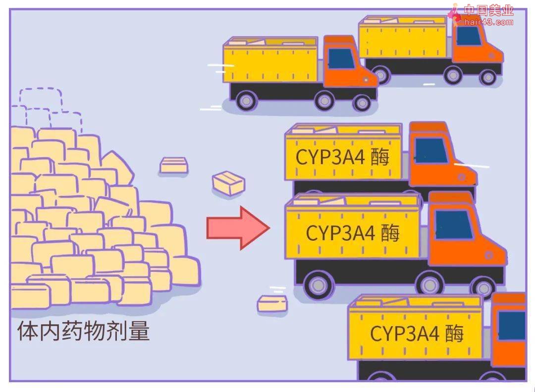 吃降压要的人，千万当心一种水果