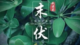 多吃“三菜”，抵抗细菌少生病！多喝“三汤”润燥养肺正当时