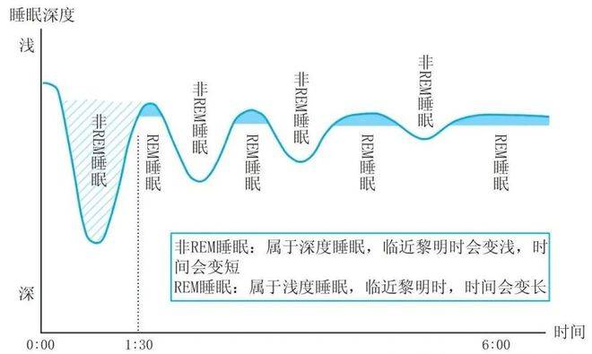 Lisa拍摄酒类广告涉嫌违法被调查，美女实惨，莫名其妙背锅