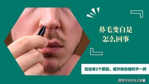 鼻MAO外窜的男新，有啥不同之处？鼻MAO变白暗示什么？看完涨知识了