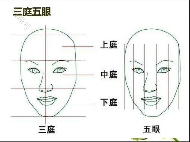 寿命“藏”在脸上？科普下涨知识