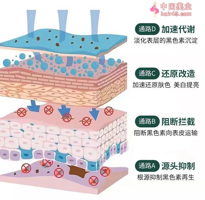 皮肤科专家建议：睡前只需这1步，“SE斑”再深都有救！