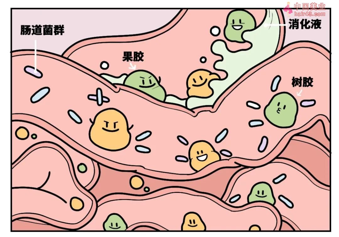 大便总粘马桶的原因，我们找到了