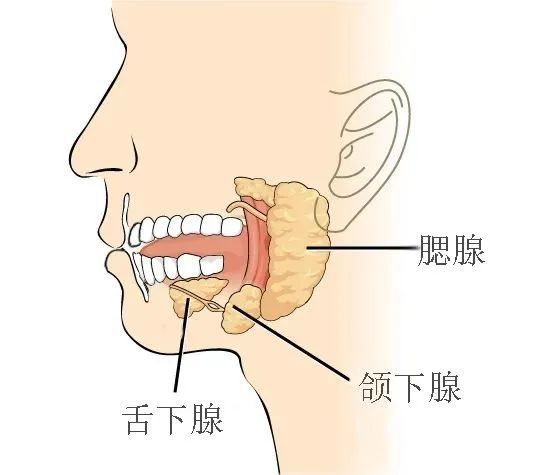 癌症偏爱胖子？真的假的？快来测一下你的患癌风险