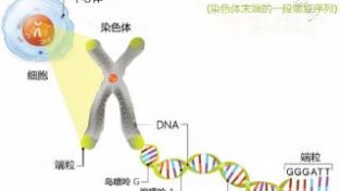 这些病都是“气”出来的，在平时要注意，建议告知家人