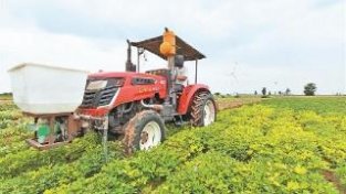 “内黄花生”有了“护身符”（奋进新征程 建功新时代）