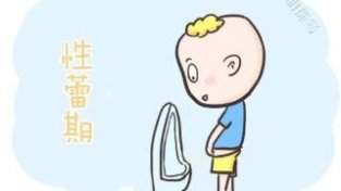 宝宝进入新蕾期，父母该如何正确应对？一文学习下