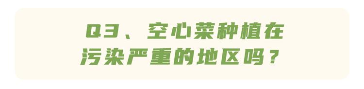 空心菜是“万毒之王”，重金属超标？