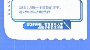 关于XBB毒株，目前已知的关键信息