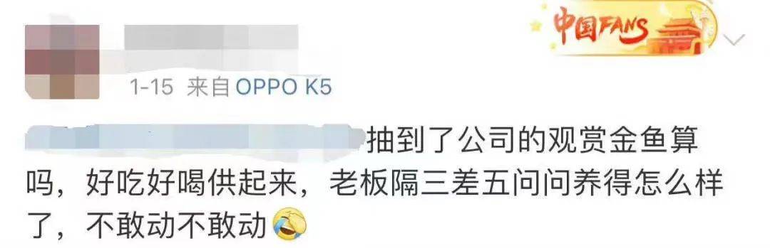 “今年办不起年会可以直说，别用这脏东西羞辱我”