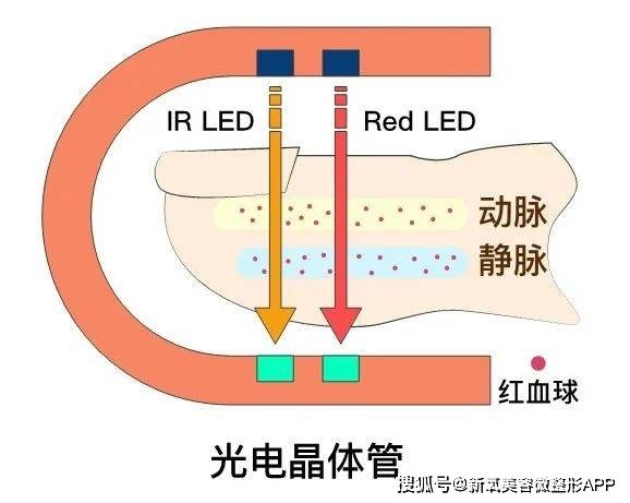 跑了20年龙套的她，凭什么赢得了艾美&金球奖？