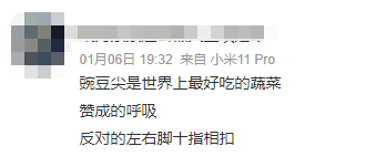 每个四川人的冬天，都会被豌豆尖神保佑