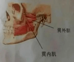 爷青回！52岁工藤静香回归舞台，木村心美却笑起来不好看？