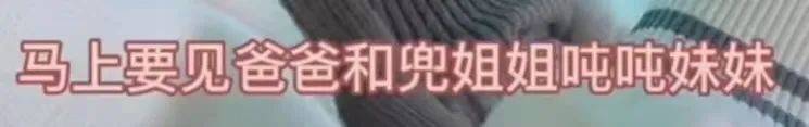 韩安冉谈新男友，四婚在望了？纷纷扰扰的互联网又有哪些新鲜事？