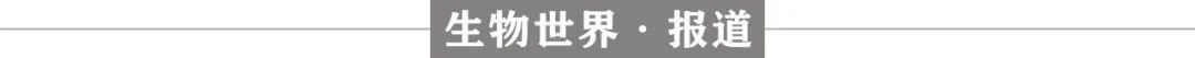 特殊的干细胞移植，成功“治愈”一位艾滋病患者，世界第五位“治愈者”出现